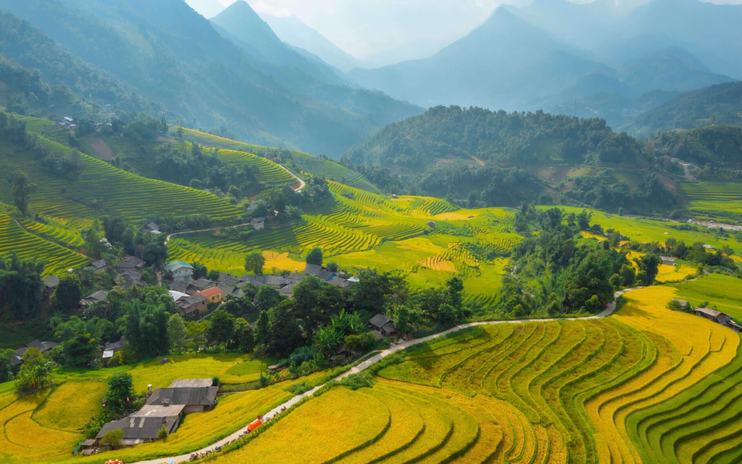 Sapa Rice Field