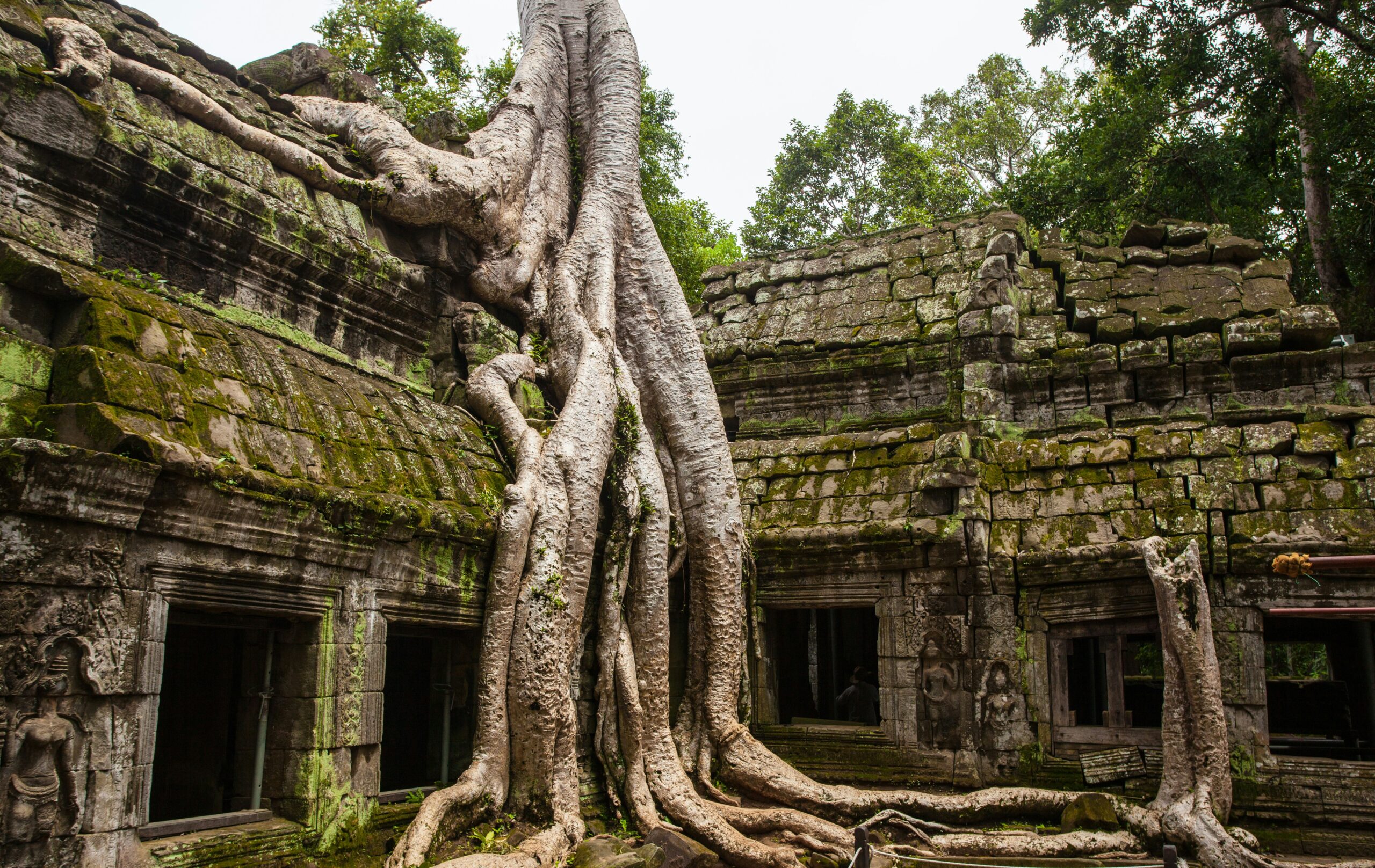 Ta Prohm Temple