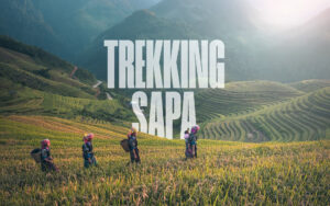 trekking in Sapa